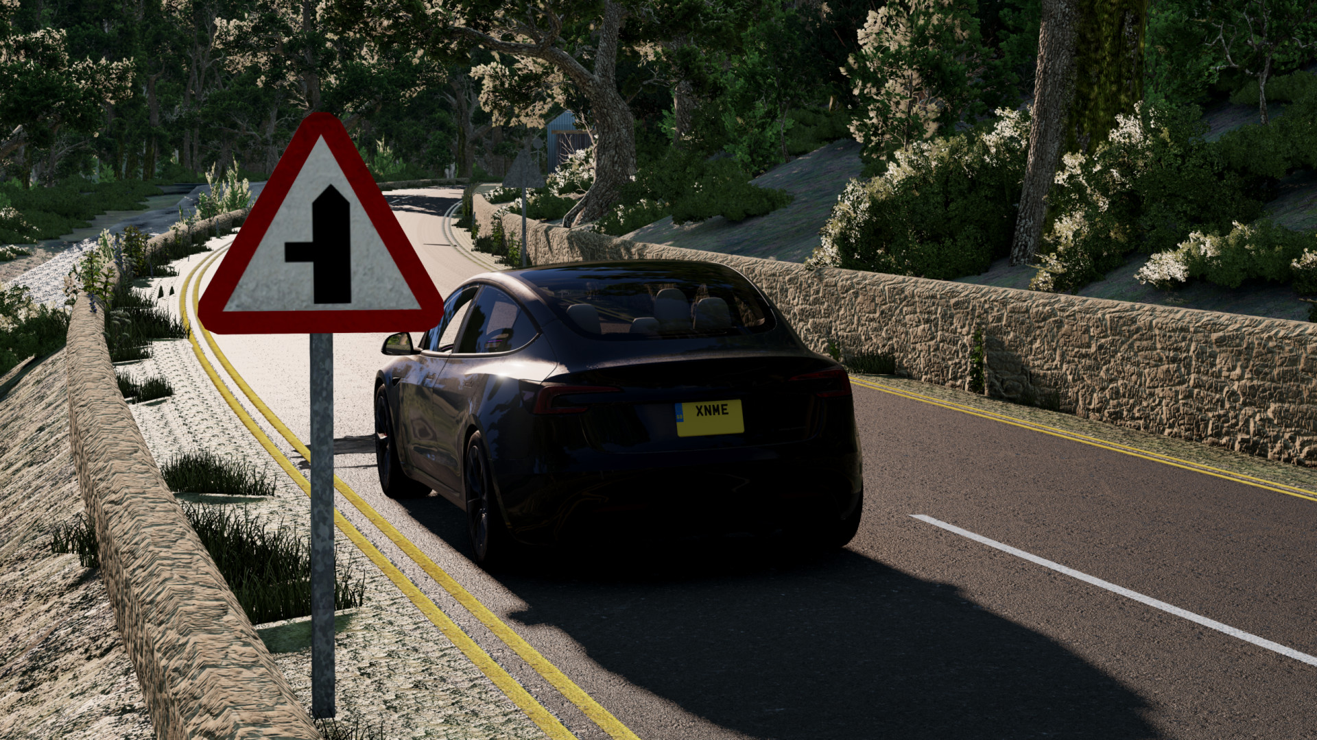 2024 特斯拉 Model 3 - BGMods-专注于分享模组-BGMods-专注于分享模组